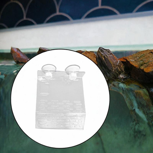 De Tortuga Basking Tortoise De Escalada 20x24 Cm