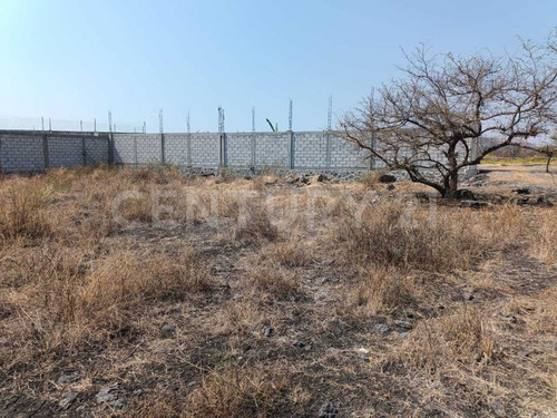 Terreno En Venta En Chinconcua, Municipio De Emiliano Zapata, Morelos