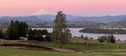 Sitio En Venta En Panguipulli