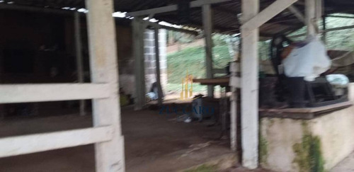 Chácara À Venda, 6000 M² Por R$ 250.000,00 - Tanque Grande - Guarulhos/sp - Ch0095