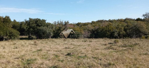 Imagen 16 de 30 de En Venta Chacra De 7,5 Has Con Casa, Ruta 39 - Maldonado Ruta 39