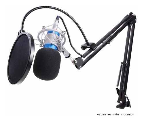 Microfone Estúdio Profissional Bm800 + Pop Filter + Aranha