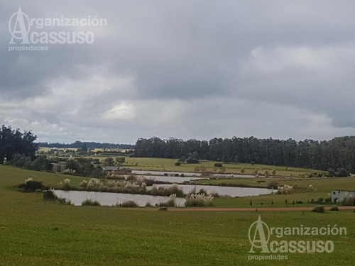 Imagen 2 de 28 de Casa - Pueblomio