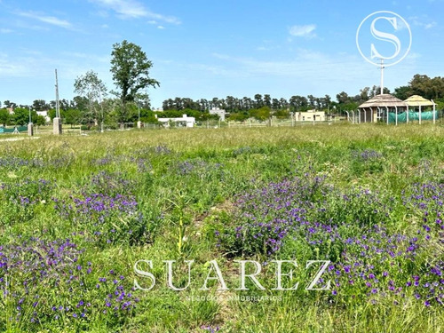 Terreno En Venta Pilar Lomas De Manzanares