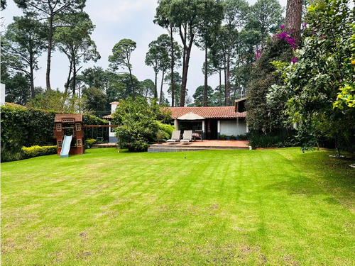 Casa Alamo