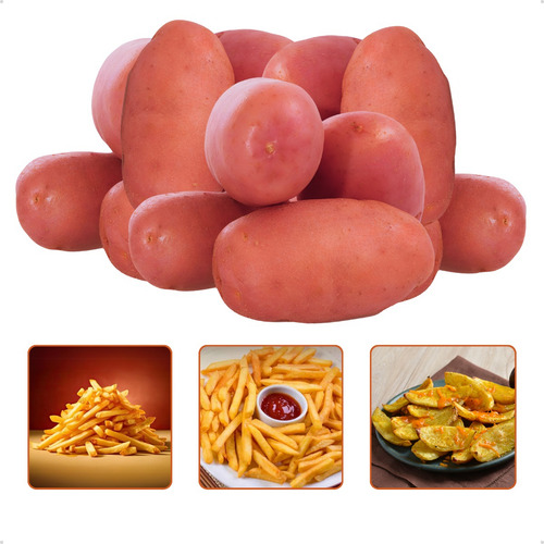 Só Batata Asterix Selecionada E Embalada Para Fritura 15kg