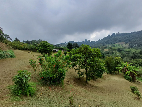 Venta Dapa Casa Finca Para Remodelar A Su Gusto, Sector Miravalle Yumbo Dapa Finca Lote Casa Campestre