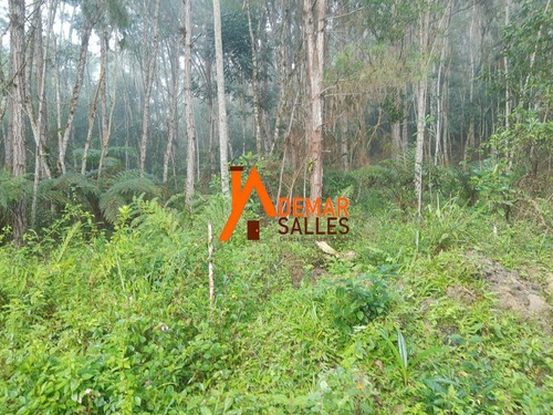 Imagem 21 de 29 de Chacara - Ch00105 - 69487415