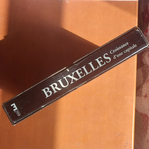 Libro Sobre Bruselas En Francés. Historia De Una Ciudad (Usado)
