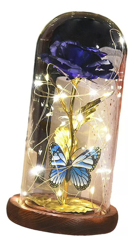 Cubierta De Vidrio Preservado Con Forma De Mariposa