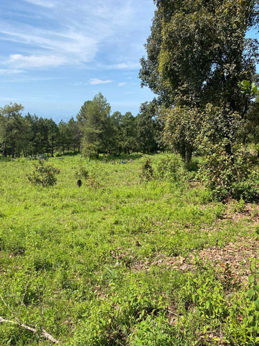 Gran Terreno En Paraje Palacio