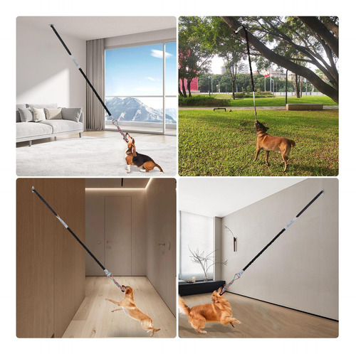 Juguete De Cuerda Elástica Para Exteriores, Juguete Negro