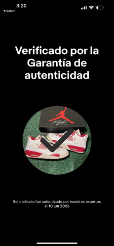 Jordan Retro 4 Alternate 89 - 8 1/2 Mex (Usado)