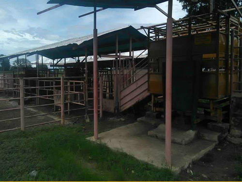 Imagen 8 de 16 de Aa Se Vende Finca Posada 200 Hectáreas Barinas Toreño