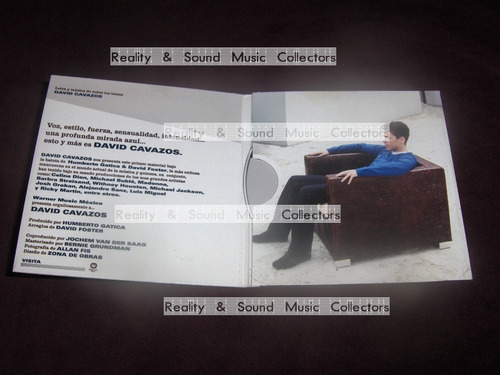 David Cavazos Sampler Cd 4 Tracks Bruja Hada De Coleccion (Usado)