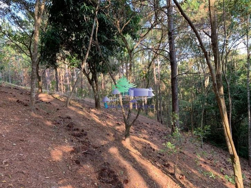 Chácara Para Residir Em Atibaia - Sp - Escriturada Com 3101,00 Metros Quadrados - Ch00755