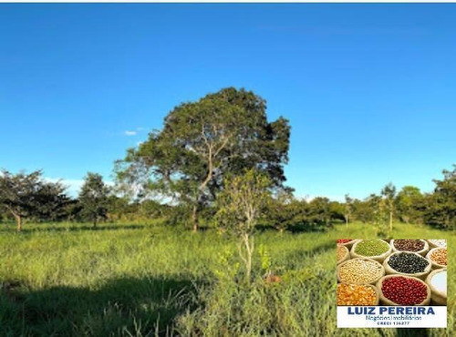 Imagem 7 de 15 de Fazenda A Venda No Formoso Do Araguaia-to-de 240 Alqueirões (dupla Aptidão) - 1669