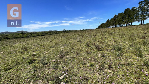 Campos Y Fracciones (ruta 9, Pan De Azúcar) Ref. 5631