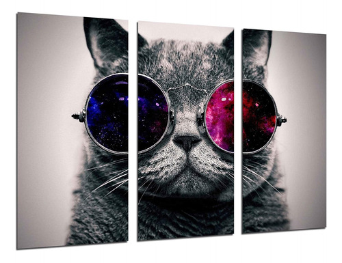 Cuadro Fotográfico Gato Lennon, Gafas Vintage Tamaño To