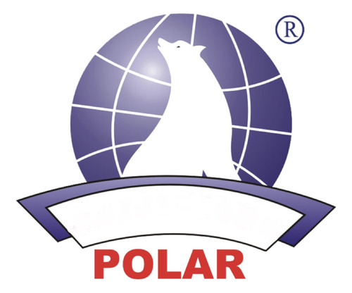 Radiador Logan 2015 2016 2017 2018 2019 Std Polar