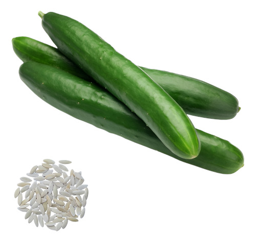 Semente De Pepino Salada Feltrin - Envelope 1g