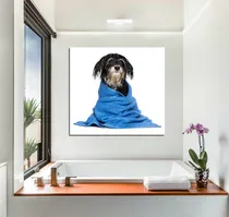 Comprar Vinilo Decorativo 30x30cm Perro Peluqueria Canina Pet Shop