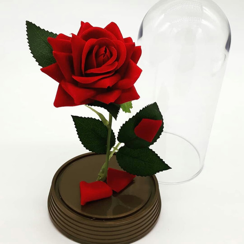 Kit A Rosa Encantada A Bela E A Fera 11 Redomas De 15 Cm E 4 Redomas De 19 Cm