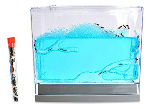 Juego Educativo De Cienci Nature Gift Live Blue Gel Ant Habi