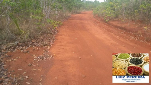 Imagem 11 de 15 de Fazenda Á Venda Em São Valerio - To - De 225 Alqueirões - 1586