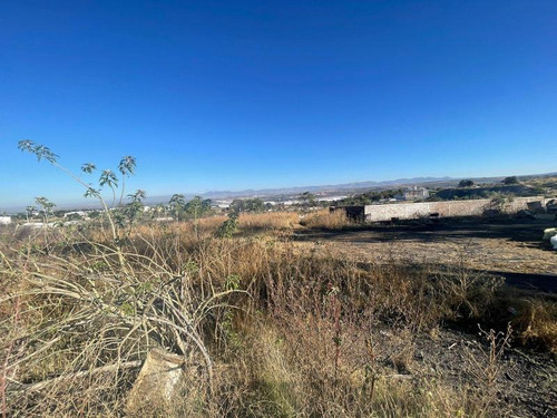 Terreno Industrial En Venta En Lo De Juárez, Irapuato, Guanajuato