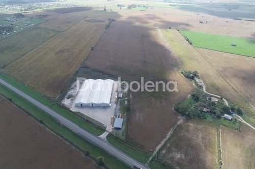Imagen 2 de 3 de Terreno En Venta Ubicado En Alvear, Rosario, Santa Fe