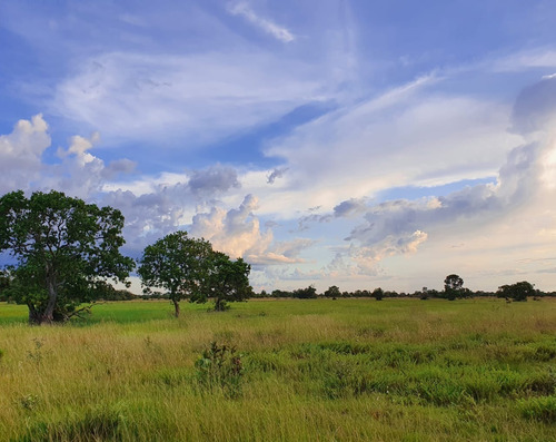 Imagem 14 de 30 de Fazenda 1470 Hectares, Fácil Acesso, Rica Em Água Com Açudes, Mangueiro Completo, Casa Sede, Casa De Funcionário, 700 Hectares Formadas Em Brachiaria - Fa00219 - 70654361