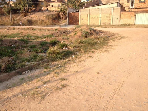 Imagem 7 de 10 de Lote Para Venda Em Ribeirão Das Neves, Florença - L02_1-1236074