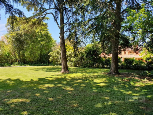 Imagen 21 de 26 de Excelente Lote-terreno Arbolado En Venta - San Isidro - Las Lomas