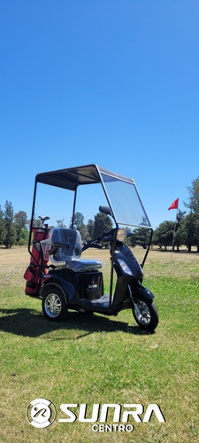 Imagen 18 de 25 de Triciclo Eléctrico - Golf Con Techo Y Soporte Para Bolsa / G