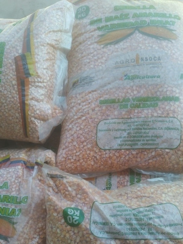 Semilla De Maiz Amarillo Inia 7 Saco De 20 Kg (27$)