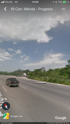 Imagen 4 de 6 de Terreno De 10,000 M2 Sobre Carretera Merida Progreso.