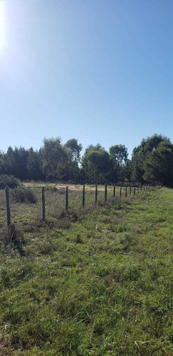 Imagen 4 de 15 de Venta 6 Hectáreas La Lucila Del Mar Loteo Campo Terreno