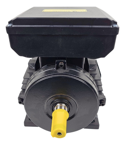 Motor Elétrico 3cv 4 Pólos Monof. Bivolt Ip55 Yl100l1 Lynus