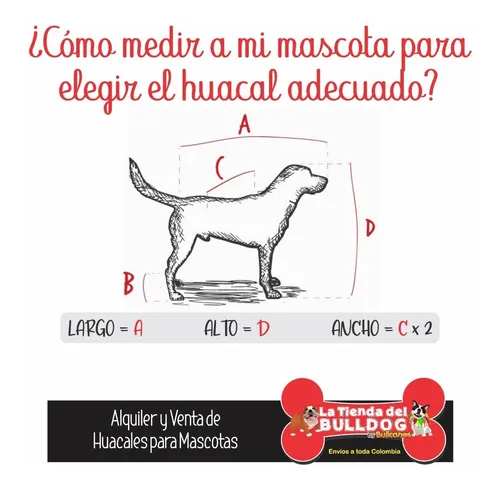 Guacal Para Perro Grande Talla L Huacales Volumen 400