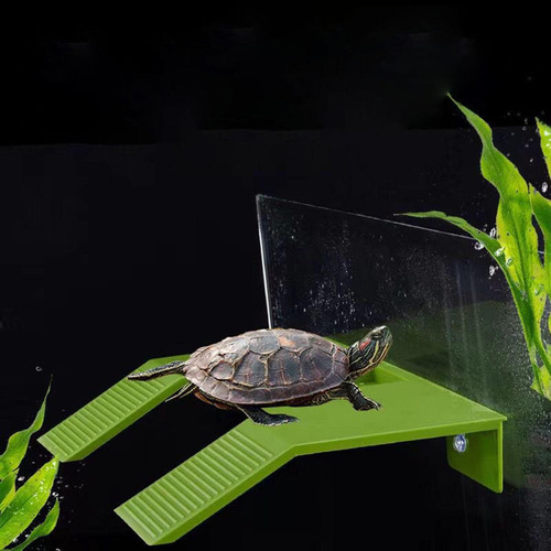 De Para Tortugas, Tanque Para Reptiles, Verde Grande