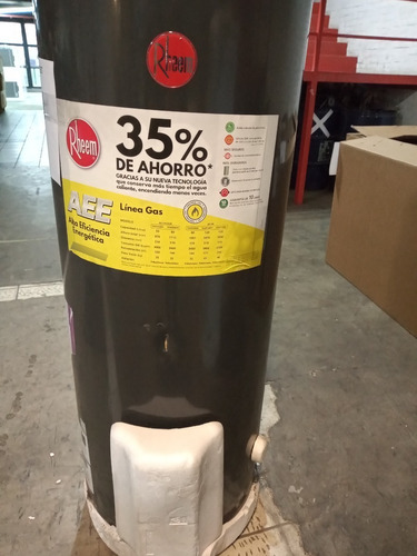 Imagen 2 de 8 de Termotanque A Gas Rheem De Pie 120 Lts Gn Tgnp120rh. Outlet
