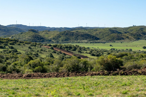 Imagen 4 de 15 de Chacra Campo En Venta, Lavalleja, Aguas Blancas, Fraccionami (ref: Atm-6842)