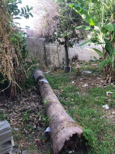 Imagen 10 de 18 de Terreno 220 M2 Escriturado, Colosio, Playa Del Carmen P3551