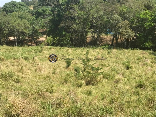 Imagem 5 de 10 de Chacara Em Bueno Brandão - Ch00021 - 69521937
