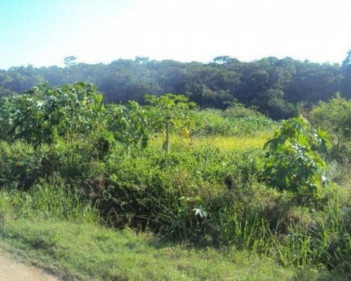 Imagem 4 de 6 de Terreno Para Venda Em Saquarema, Jardim - 1857_2-800528