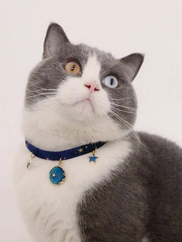 Collar Gato Astrologia Color Azul Astros Tamaño Del Collar Extra Small
