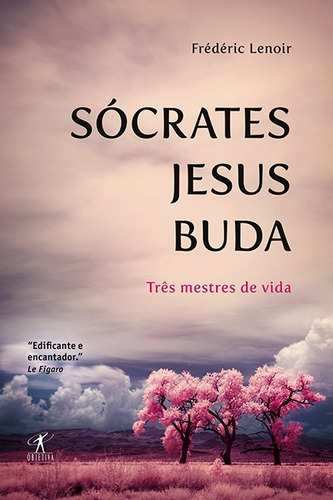 Sócrates, Jesus, Buda, de Lenoir, Frédéric. Editora Schwarcz SA, capa mole em português, 2011