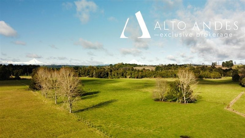 Imagen 6 de 19 de Sitio En Venta En Puyehue