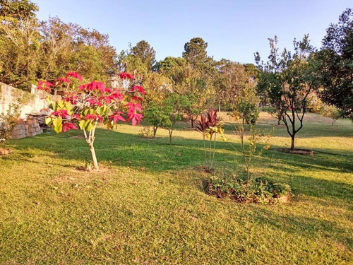 Imagem 12 de 13 de Chácara À Venda Em Vgp - C105